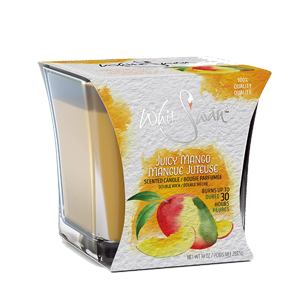 SCENTED CANDLE JUICY MANGO 6/10 oz