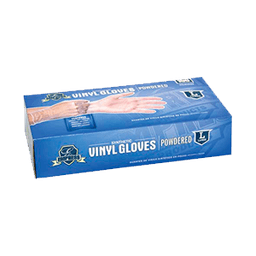 POWDERED VINYL GLOVES LARGE 100 ct - Home & Kitchen