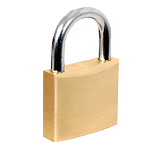 LOCK DISPLAY LARGE 50MM 6ct