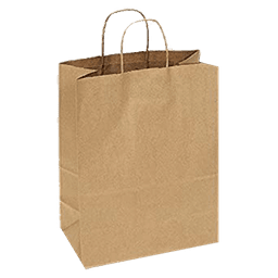 PAPER SHOPPING BAG 10X5"13" 250 ct - Home & Kitchen