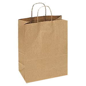 PAPER SHOPPING BAG 10X5"13" 250 ct