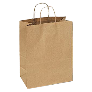 PAPER SHOPPING BAG 13X7"X17" 250 ct