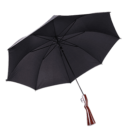 UMBRELLA LARGE WITH HANDLE - Home & Kitchen