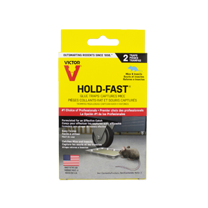 RAT GLUE TRAPS 24 ct