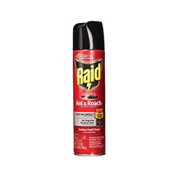 Raid - ANT & ROACH KILLER OUTDOOR FRESH  17.5 oz - Home & Kitchen