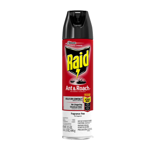 ANT & ROACH KILLER FRAGRANCE FREE 17.5 oz