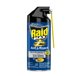 Raid - MAX ANT & ROACH KILLER 14.5 oz - Home & Kitchen