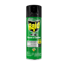 Raid - ANT KILLER PINE FOREST FRESH 17.5 oz - Home & Kitchen