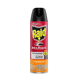 Raid - ANT & ROACH KILLER ORANGE BREEZE 17.5 oz - Home & Kitchen