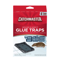 Mousegaurd - GLUE BOARD MOUSE & INSECT TRAPS 72 ct - Home & Kitchen