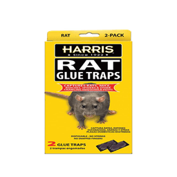 Ratguard - RAT GLUE TRAPS 12/2 pk - Home & Kitchen