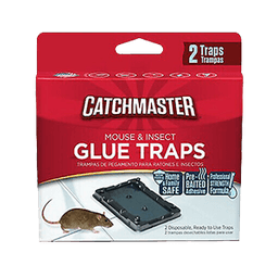 Ratguard - GLUE BOARD MOUSE & INSECT FLAT 36/ 2 pk - Home & Kitchen