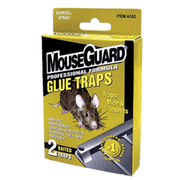 Mousegaurd - MOUSE GLUE 2 ct - Home & Kitchen