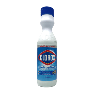 DISINFECTING BLEACH REGULAR 12/16 oz