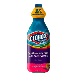 Clorox - CLOROX COLOR PROTECTION ALEGRIA FLORAL 14/930 ml - Laundry & Cleaning