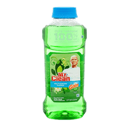 Mr. Clean - ALL PURPOSE CLEANER GAIN ORIGINAL 9/28 oz - Laundry & Cleaning