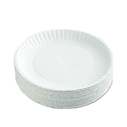 9" PAPER PLATE 10/100 ct - Home & Kitchen