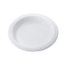 6" PLASTIC WHITE PLATE 8/100 ct - Home & Kitchen