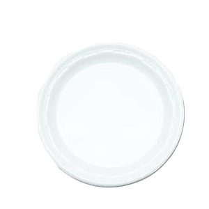 9" WHITE PLASTIC PLATE 60/12 ct