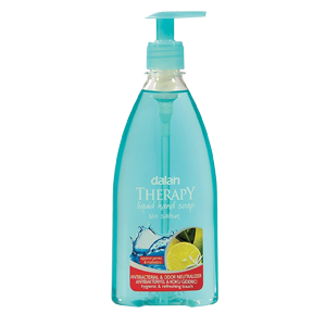 LIQUID MULTI CARE HAND SOAP 24/13.5 oz