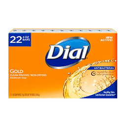 Dial - BAR SOAP GOLD 22 pk - Body Care