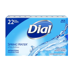 Dial - BAR SOAP SPRING WATER 22 pk - Body Care