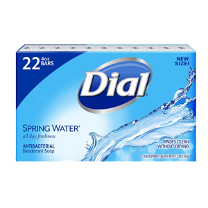 BAR SOAP SPRING WATER 22 pk