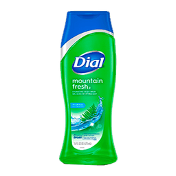 Dial - BODY WASH MOUNTAIN FRESH 16 oz - Body Care