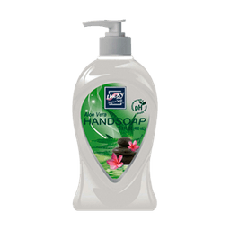 ALOE VERA HAND SOAP 13.5 oz image