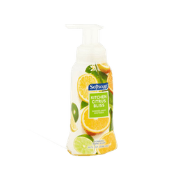 HAND SOAP FOAM KITCHEN CITRUS PUMP 12/8 oz image