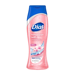 Dial - HIMALAYAN SALT BODY WASH 16 oz - Body Care