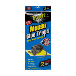 Trap-it - MOUSE GLUE TRAPS FLAT JUMBO 2 pk - Home & Kitchen