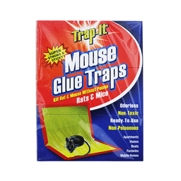 Trap-it - MOUSE GLUE TRAP 1 pk - Home & Kitchen