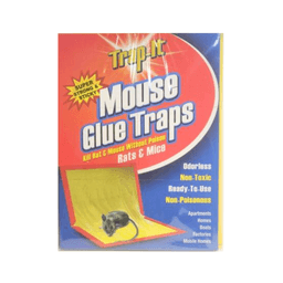 Trap-it - MOUSE GLUE JUMBO TRAPS 2 pk - Home & Kitchen