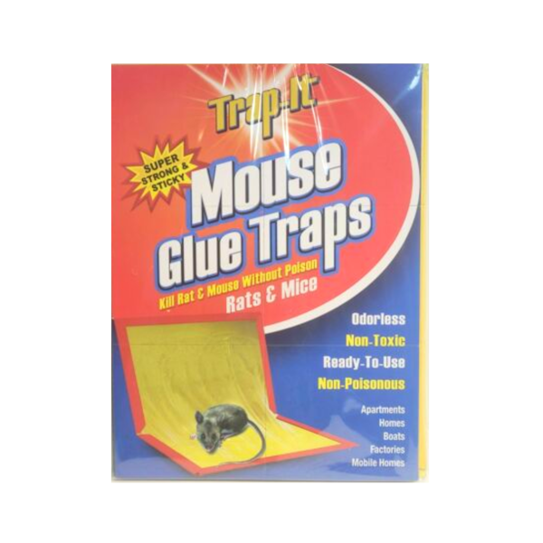 MOUSE GLUE JUMBO TRAPS 2 pk