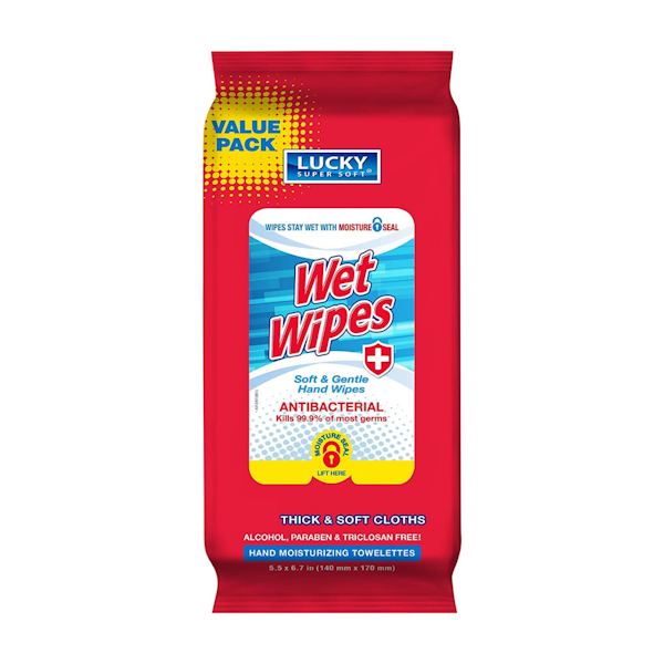 WET WIPES ANTIBACTERIAL 12/60 ct