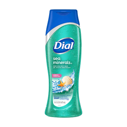 Dial - SEA MINERALS BODY WASH 16 oz - Body Care